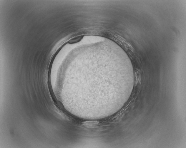 X0000114630051200911171018