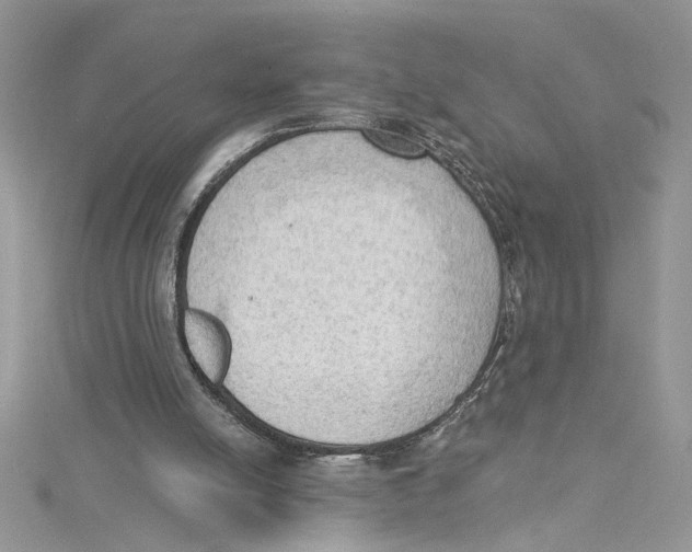 X0000114630054200911171018