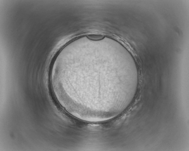 X0000114630055200911171018