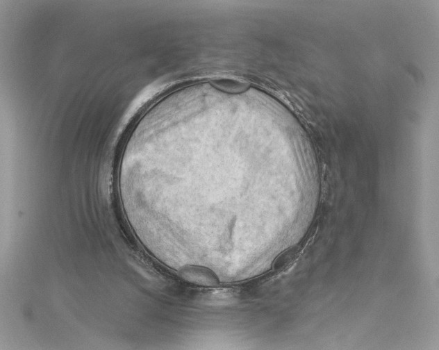 X0000114630056200911171018