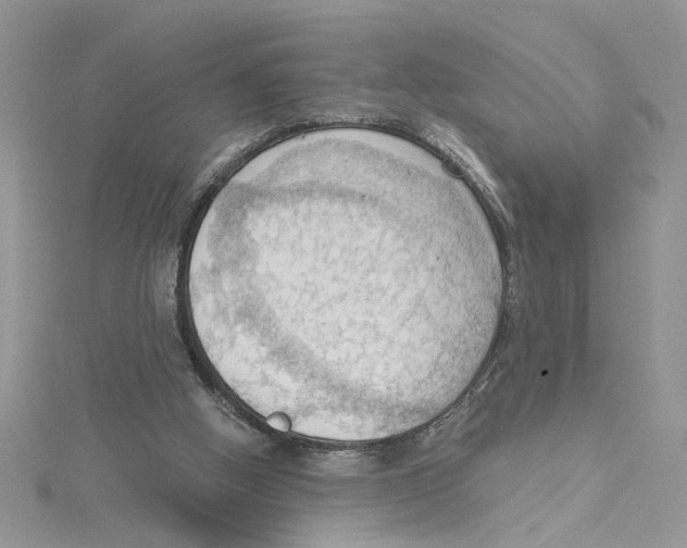 X0000114630058200911171018