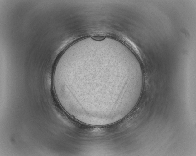 X0000114630059200911171018