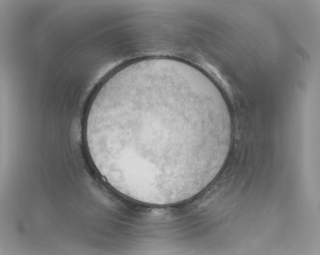 X0000114630060200911171018