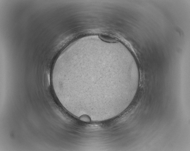 X0000114630061200911171018