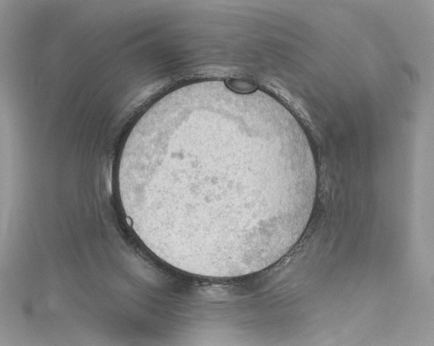 X0000114630062200911171018