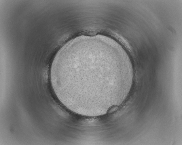 X0000114630065200911171018