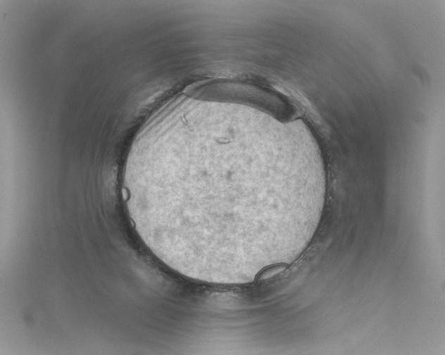 X0000114630066200911171018