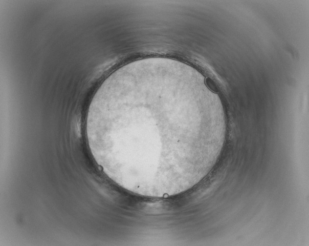 X0000114630068200911171018