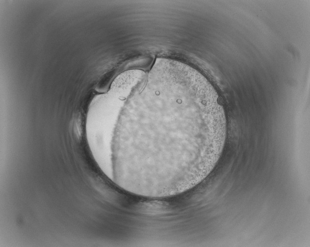 X0000114630069200911171018