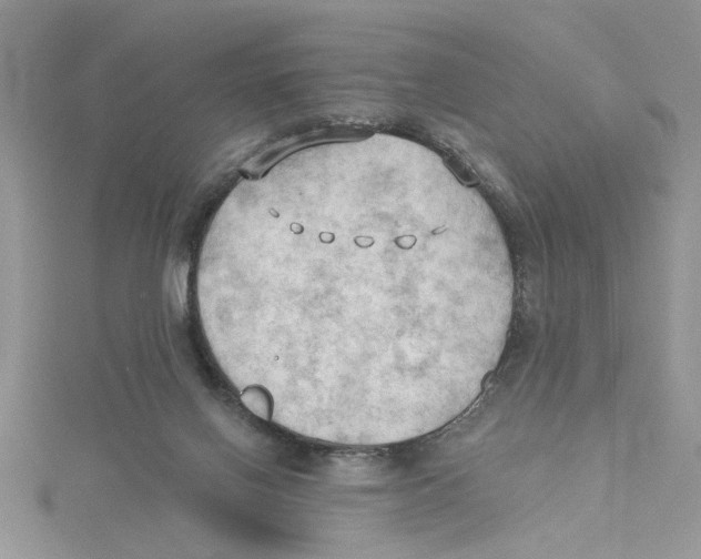 X0000114630070200911171018