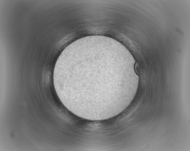 X0000114630071200911171018