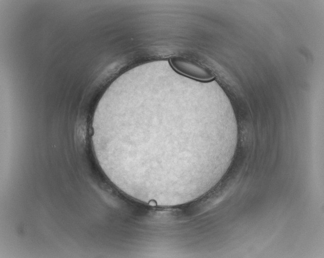 X0000114630072200911171018