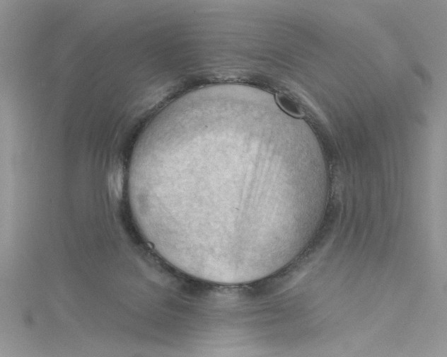 X0000114630076200911171018