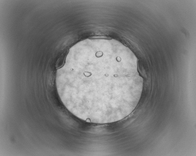 X0000114630078200911171018