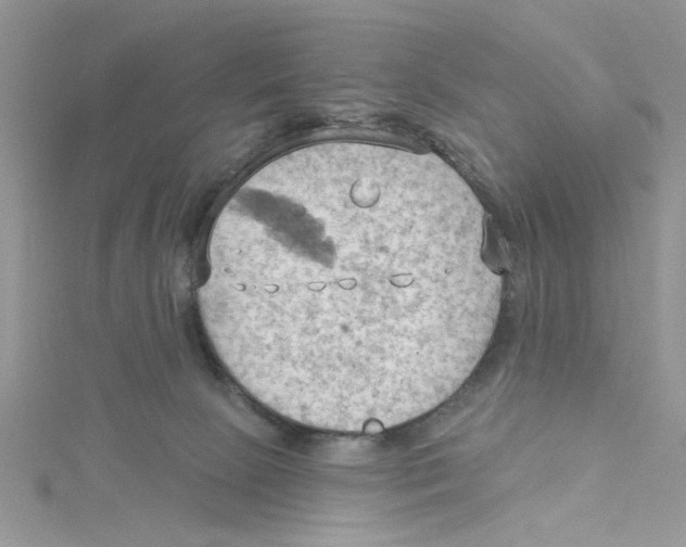 X0000114630081200911171018