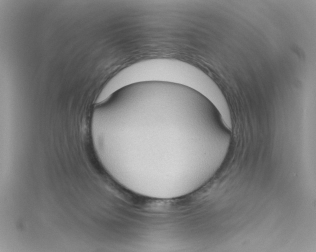 X0000114630084200911171018