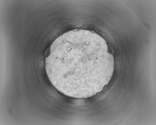 X0000114630085200911171018