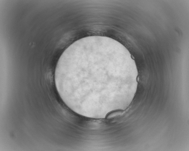 X0000114630086200911171018