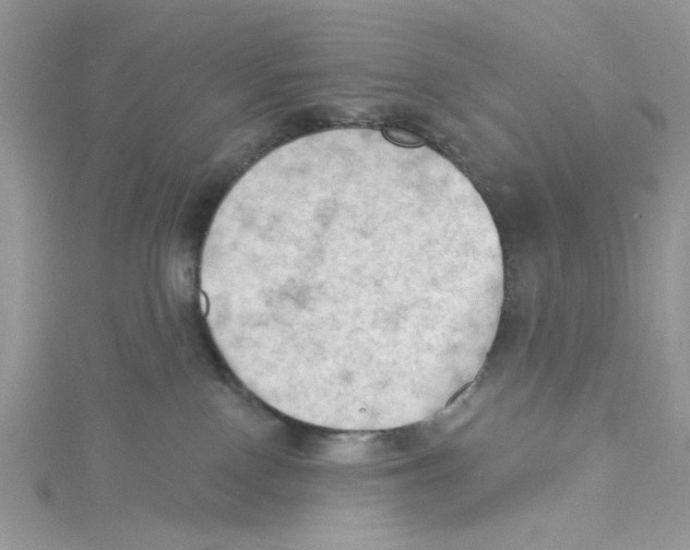 X0000114630090200911171018