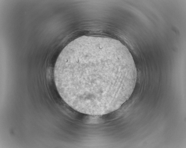 X0000114630093200911171019