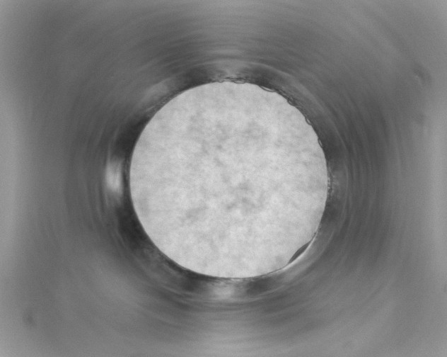 X0000114630094200911171019