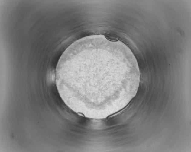 X0000114630095200911171019