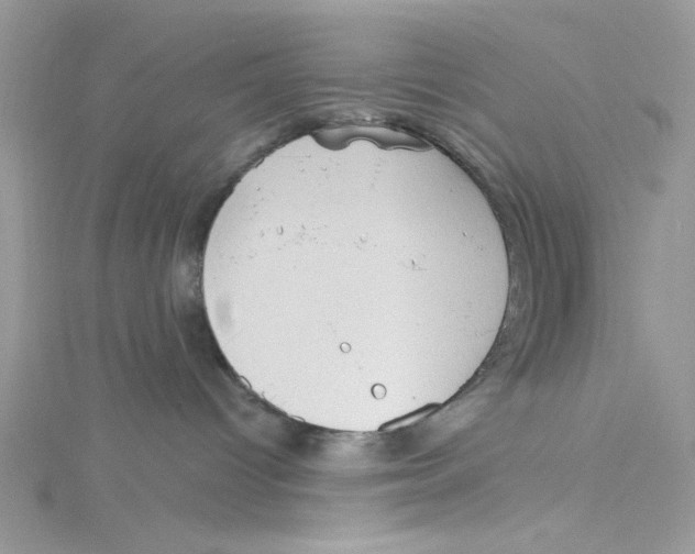 X0000114630096200911171019