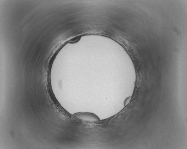 X0000114630098200911171018