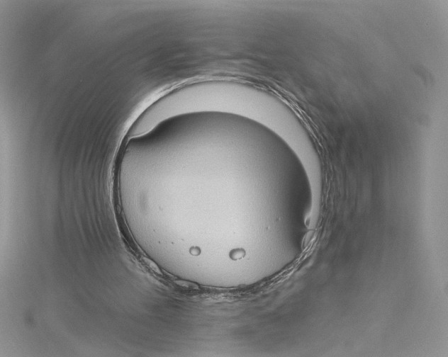 X0000114630100200911171018