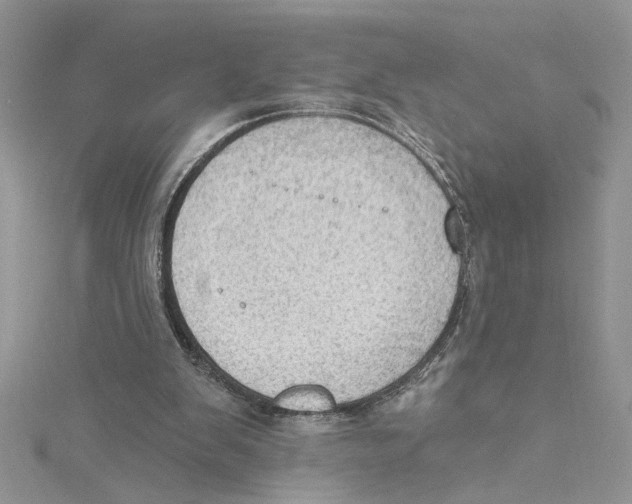 X0000114630103200911171018