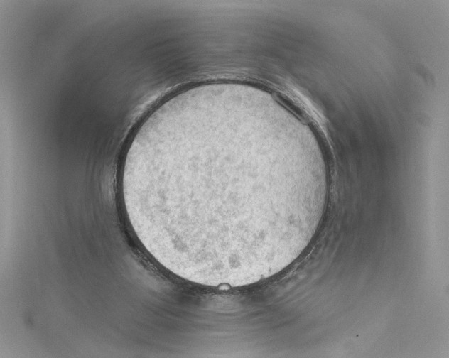 X0000114630107200911171018