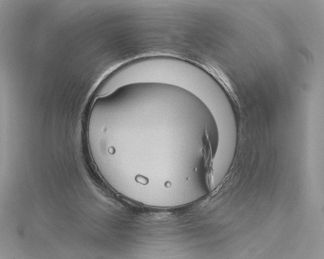 X0000114630108200911171018