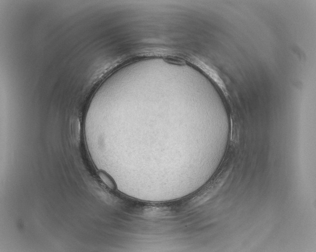 X0000114630109200911171018