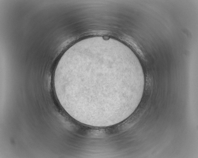 X0000114630110200911171018