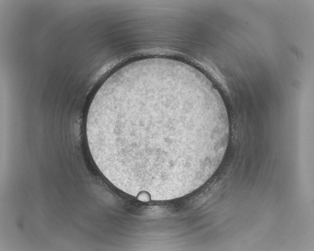 X0000114630111200911171018