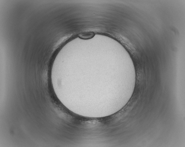 X0000114630112200911171018