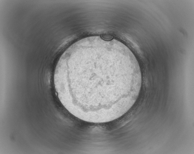 X0000114630115200911171018