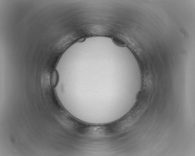 X0000114630117200911171018