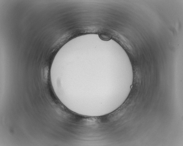 X0000114630118200911171018