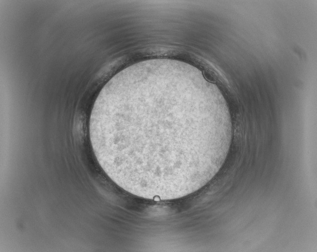 X0000114630119200911171018