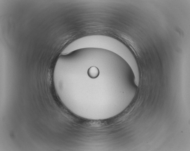 X0000114630121200911171018