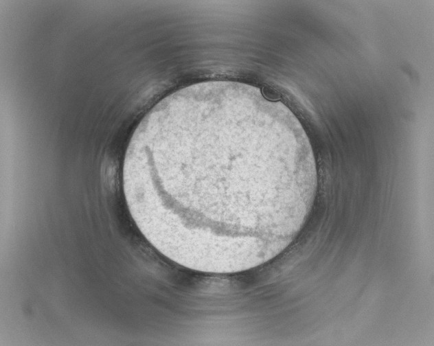 X0000114630123200911171018