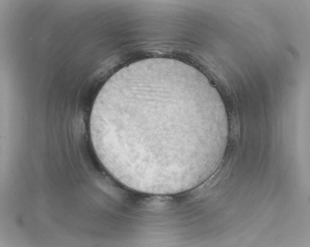 X0000114630128200911171018