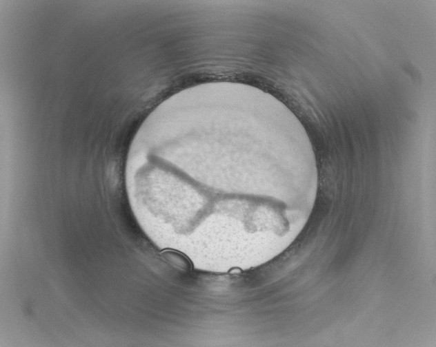 X0000114630131200911171017