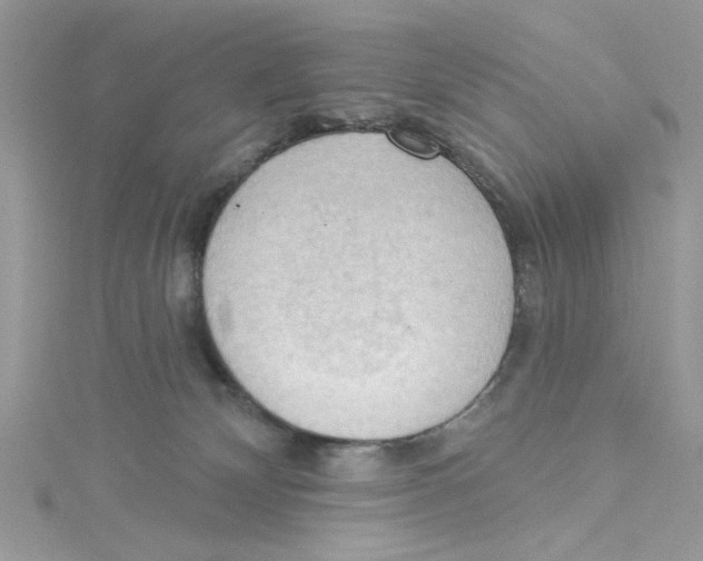 X0000114630132200911171017