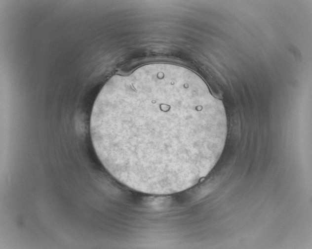 X0000114630135200911171017