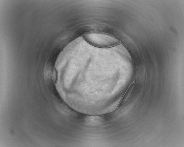 X0000114630137200911171017