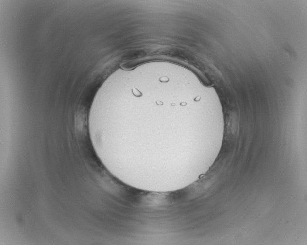 X0000114630138200911171017