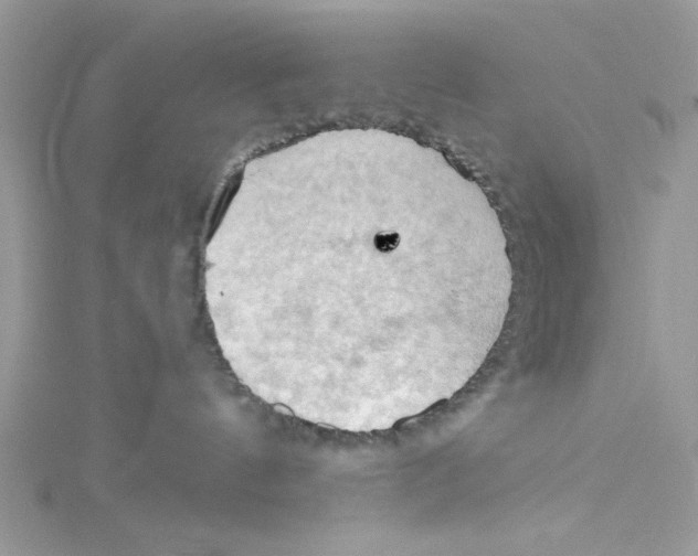 X0000114630144200911171017