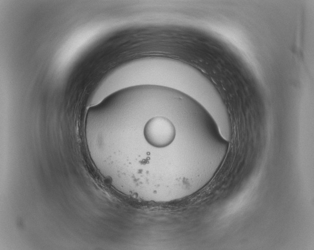 X0000114630146200911171017